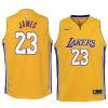 2018 19 lebron james youth jersey