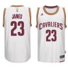 Cleveland 23 lebron james 2014 15 season white jersey