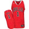 Derrick Rose Crazy Light Leopard Jersey