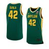 dain dainja basketball jersey replica green