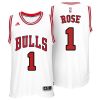 derrick rose 2014 15 new swingman white jersey