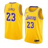 icon lebron james 2018 19 men'sjersey