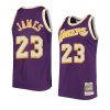 lebron james hardwood classics authentic jersey mitchell & ness purple