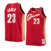 lebron james jersey hardwood classics wine