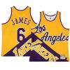 lebron james men tank top big face 5.0 purple gold