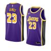 men's 2018 19 lebron james purple statementjersey