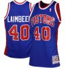 Mitchell Ness Bill Laimbeer Detroit Pistons Throw